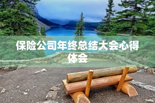 保险公司年终总结大会心得体会