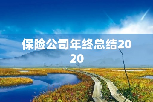 保险公司年终总结2020