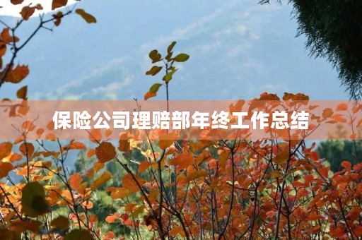 保险公司理赔部年终工作总结