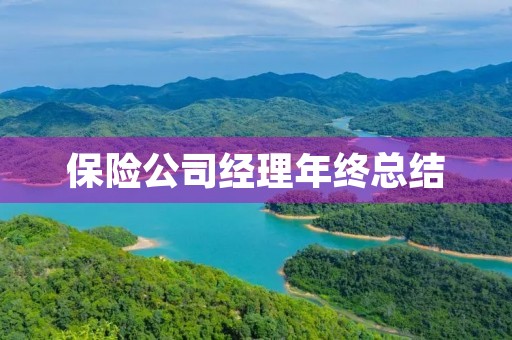 保险公司经理年终总结