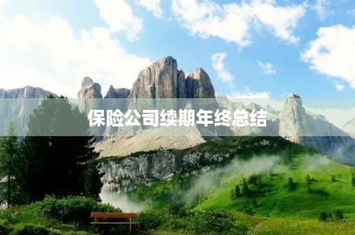 保险公司续期年终总结