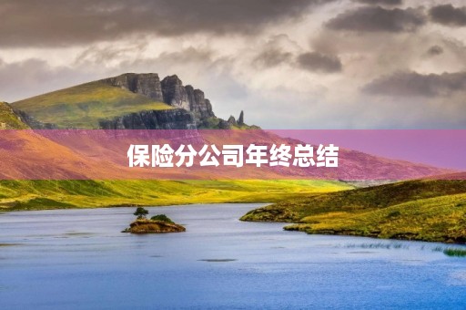 保险分公司年终总结