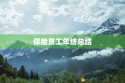 保险员工年终总结 保险员工年终总结