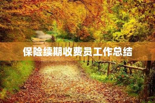 保险续期收费员工作总结