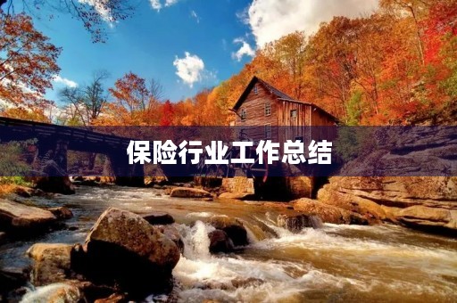 保险行业工作总结