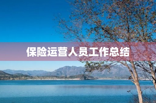 保险运营人员工作总结