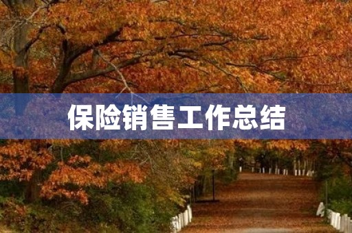 保险销售工作总结 保险销售工作总结