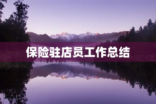 保险驻店员工作总结