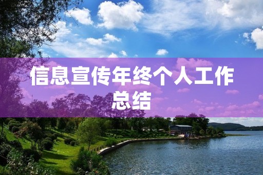 信息宣传年终个人工作总结