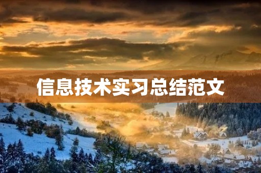 信息技术实习总结范文