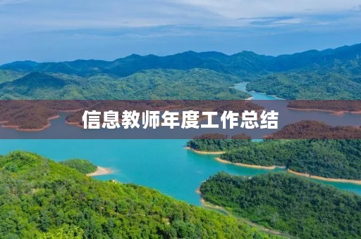 信息教师年度工作总结