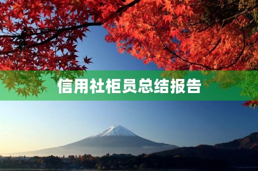 信用社柜员总结报告