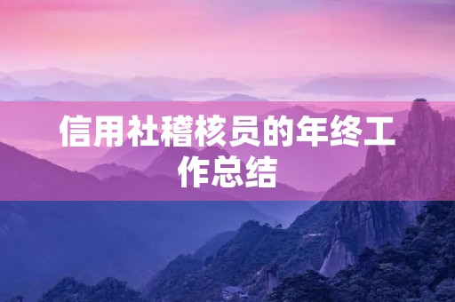 信用社稽核员的年终工作总结 信用社稽核员的年终工作总结