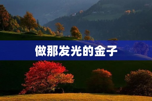 做那发光的金子 做那发光的金子