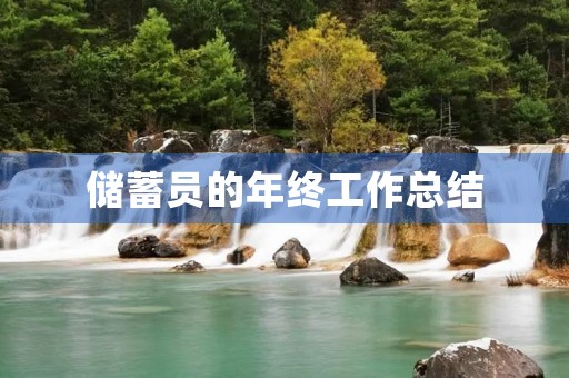 储蓄员的年终工作总结 储蓄员的年终工作总结