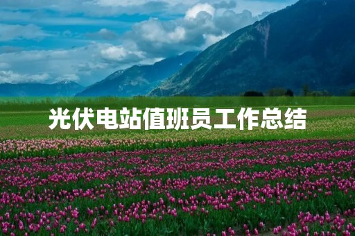 光伏电站值班员工作总结