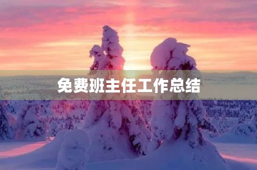 免费班主任工作总结