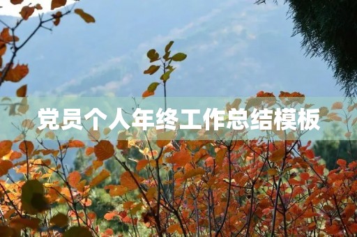 党员个人年终工作总结模板【五篇】