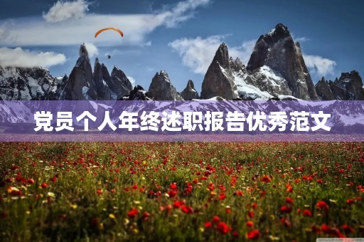 党员个人年终述职报告优秀范文【六篇】