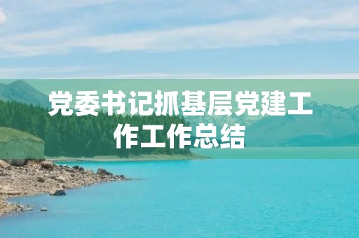 党委书记抓基层党建工作工作总结