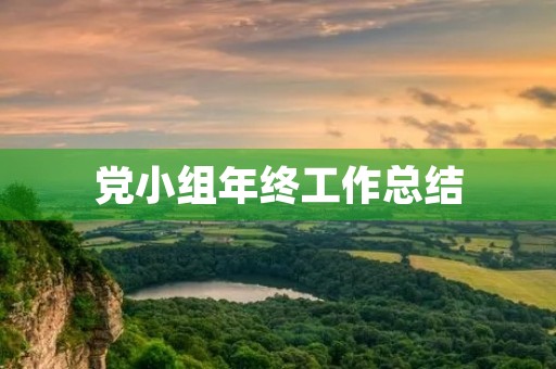 党小组年终工作总结