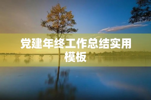 党建年终工作总结实用模板