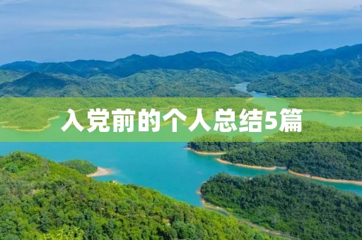 入党前的个人总结5篇