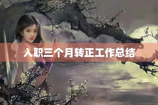 入职三个月转正工作总结