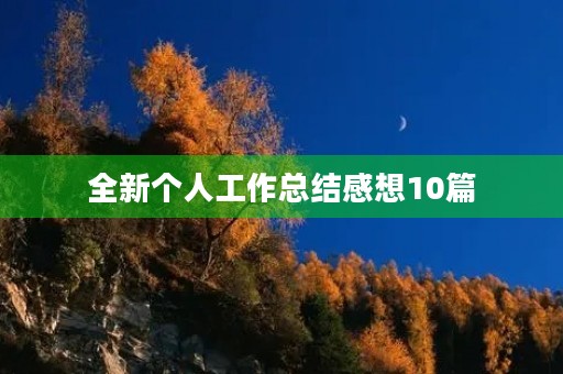 全新个人工作总结感想10篇 全新个人工作总结感想10篇