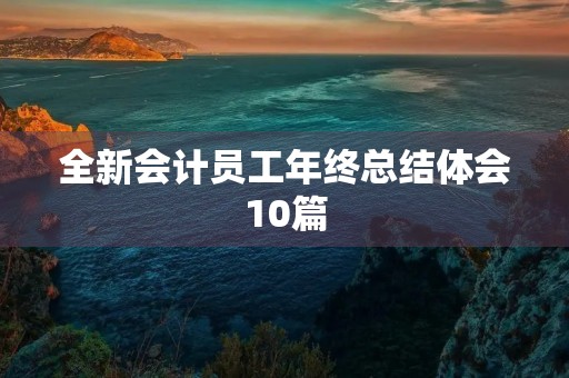 全新会计员工年终总结体会10篇