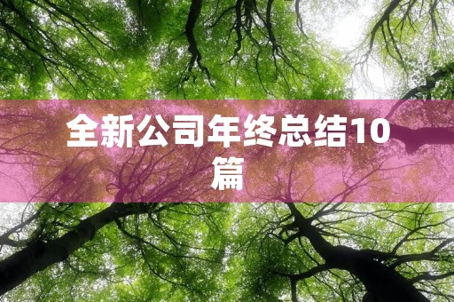 全新公司年终总结10篇