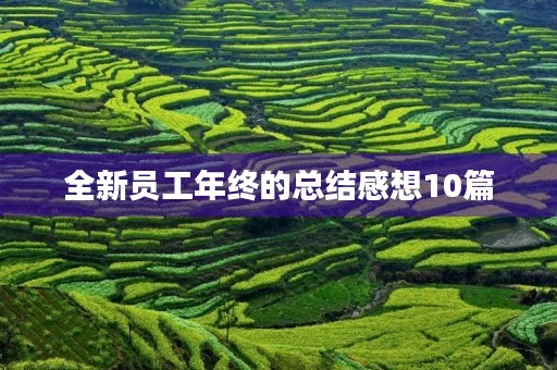 全新员工年终的总结感想10篇 全新员工年终的总结感想10篇