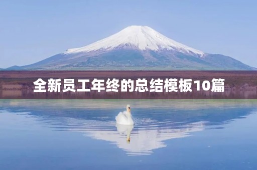 全新员工年终的总结模板10篇