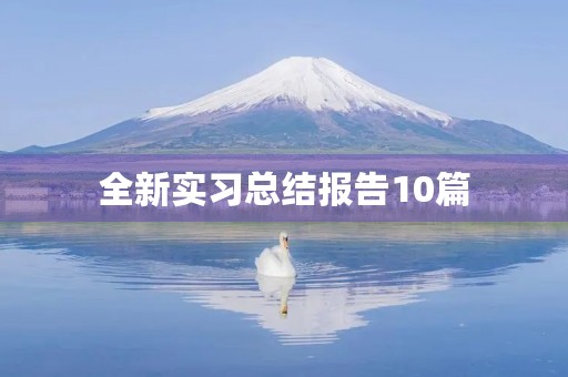 全新实习总结报告10篇