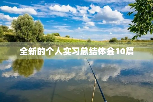 全新的个人实习总结体会10篇