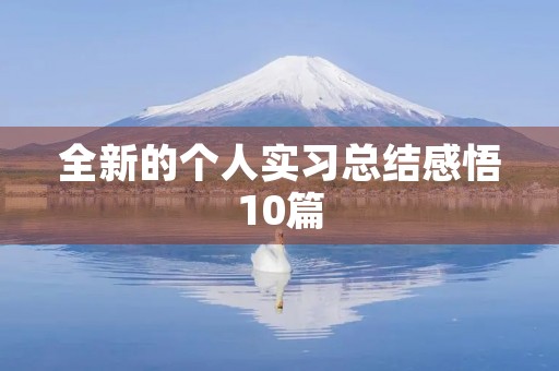 全新的个人实习总结感悟10篇 全新的个人实习总结感悟10篇