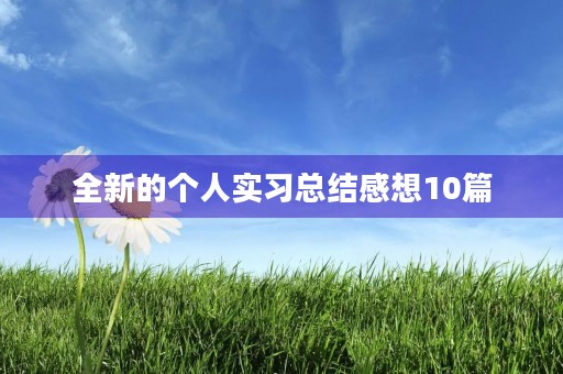 全新的个人实习总结感想10篇 全新的个人实习总结感想10篇