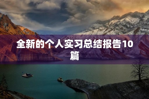 全新的个人实习总结报告10篇