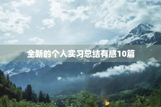 全新的个人实习总结有感10篇 全新的个人实习总结有感10篇