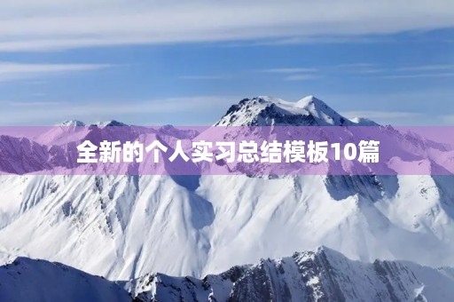 全新的个人实习总结模板10篇