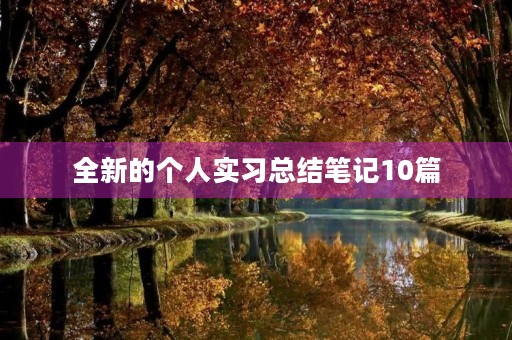 全新的个人实习总结笔记10篇 全新的个人实习总结笔记10篇