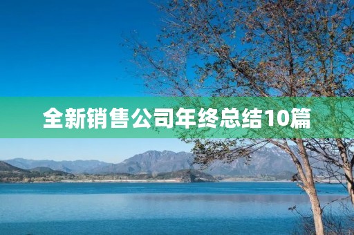 全新销售公司年终总结10篇
