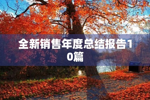 全新销售年度总结报告10篇