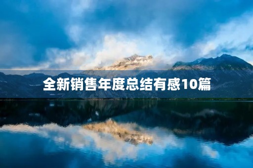 全新销售年度总结有感10篇