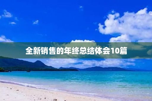 全新销售的年终总结体会10篇