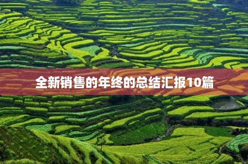 全新销售的年终的总结汇报10篇 全新销售的年终的总结汇报10篇