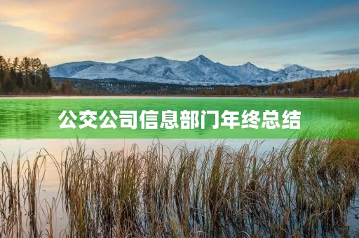公交公司信息部门年终总结