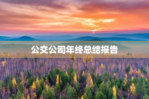 公交公司年终总结报告