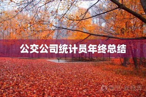 公交公司统计员年终总结