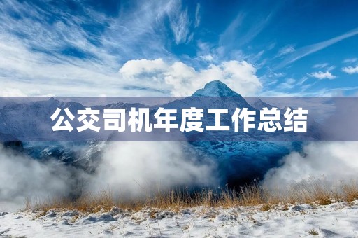 公交司机年度工作总结